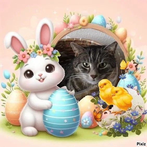 Andachtsbild von Ostergrüße ❤️