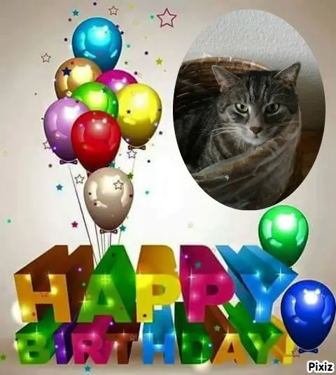 Andachtsbild von Timmys Mutti Tanja an Sternenprinzessin Gatita ❤