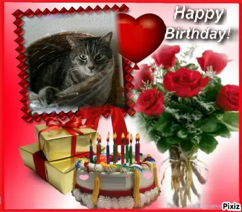 Andachtsbild von Timmys Mutti Tanja an Sternenprinzessin Gatita ❤