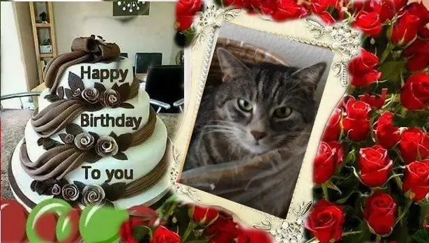 Andachtsbild von Andrea mit Minki im ♥️