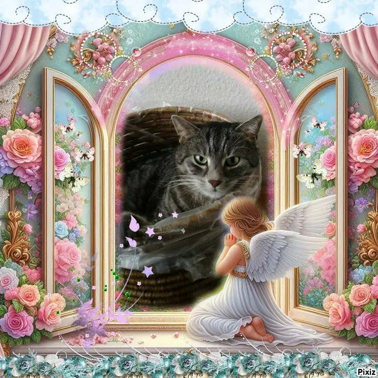 Andachtsbild von Timmys Mutti Tanja an Sternenprinzessin Gatita ❤