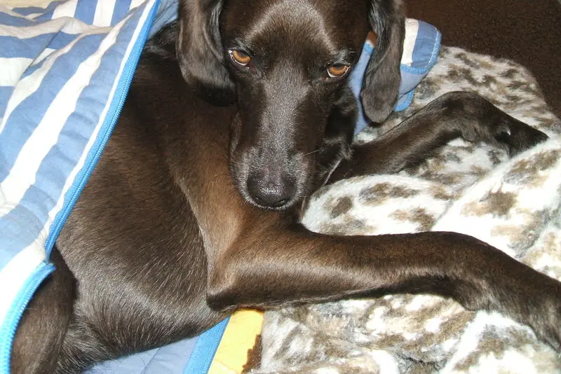 Andachtsbild von Erika  Cremer 