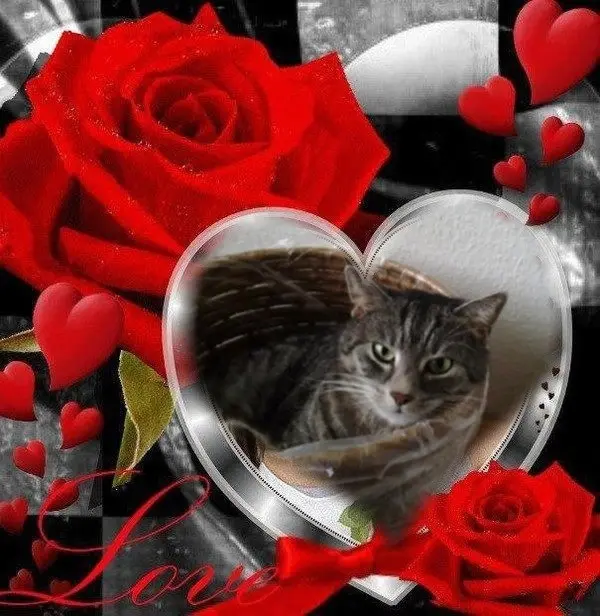 Andachtsbild von Andrea