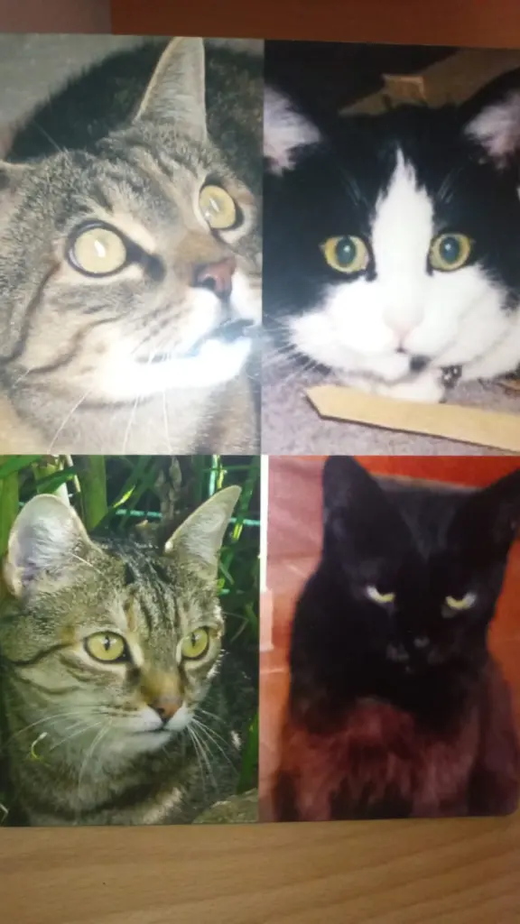 Andachtsbild von für Gatita ♥♥♥♥