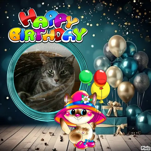 Condolence image of Timmys Mutti Tanja an die hübsche Sternenprinzessin Gatita 💖🐈🐾