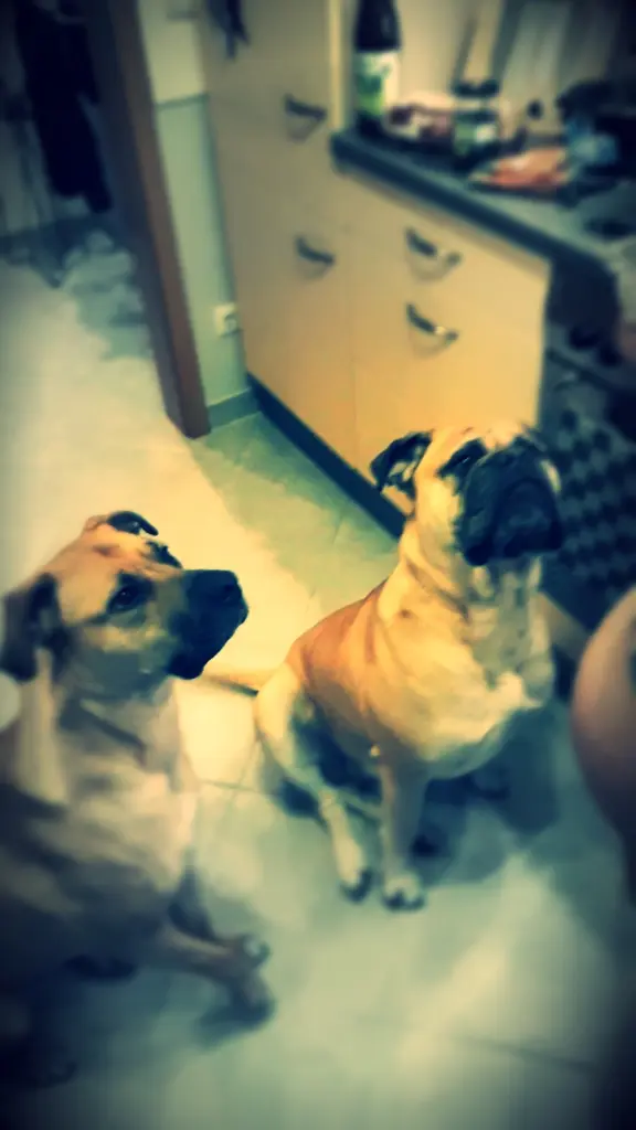 Image from Leyla