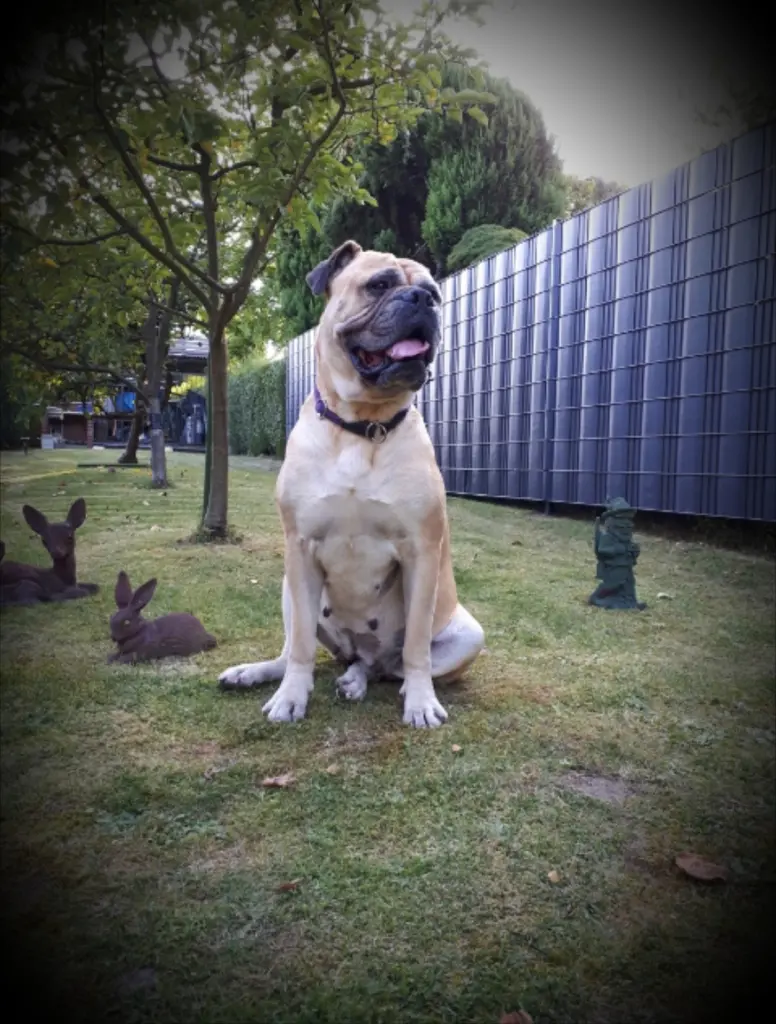 Image from Leyla