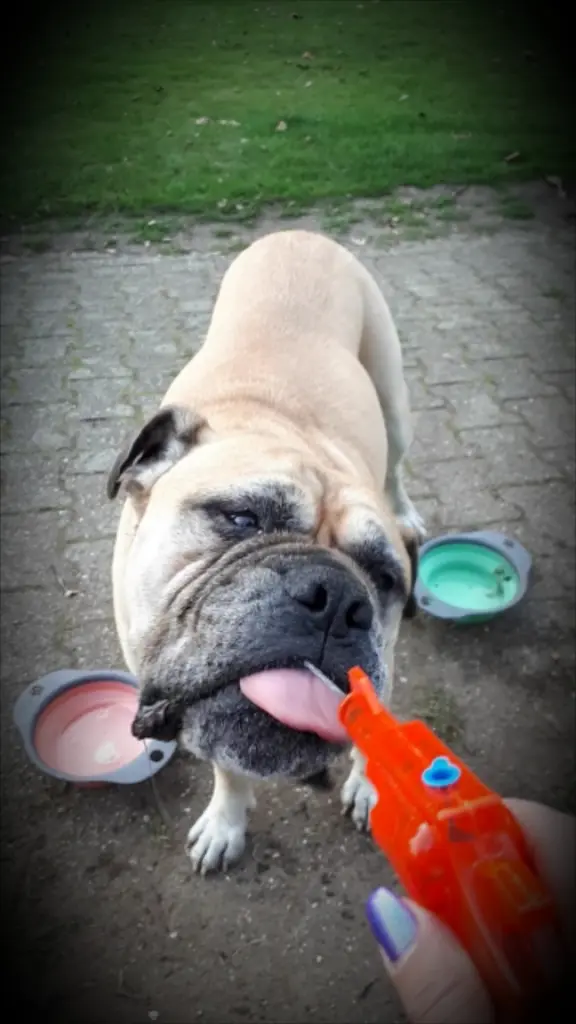 Image from Leyla