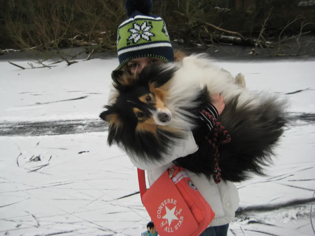 Andachtsbild von Charlotte Hock