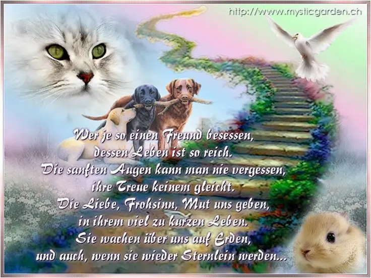 Andachtsbild von Andrea mit Minki im ❤ gest.19.10.20