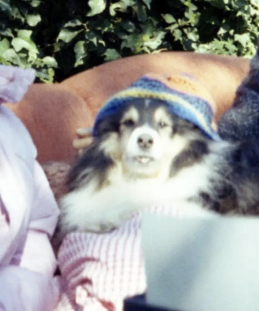 Andachtsbild von Charlotte Hock