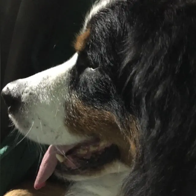 Andachtsbild von Gabriela 