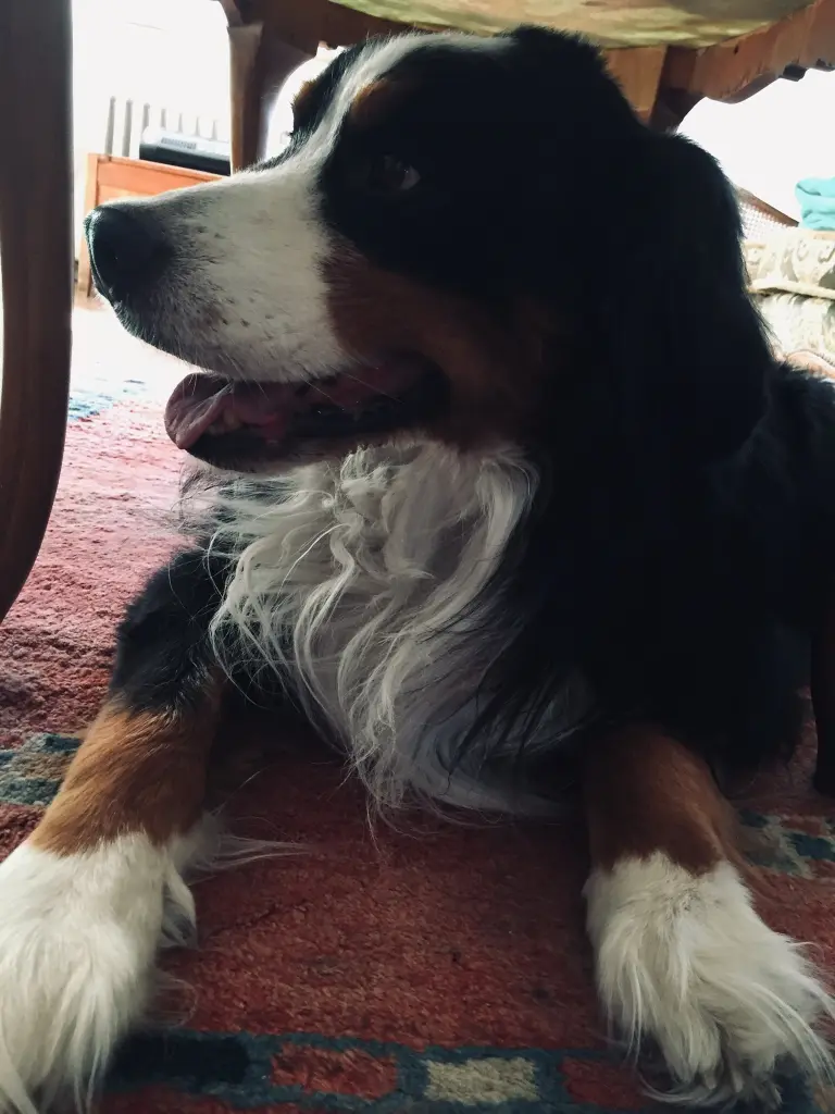 Andachtsbild von Gabriela 