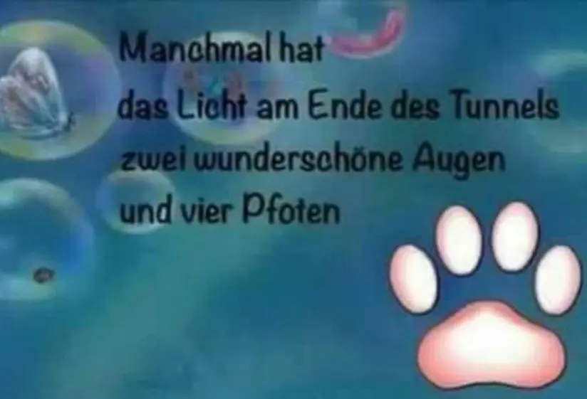 Condolence image of Andrea mit Mausi im Herzen