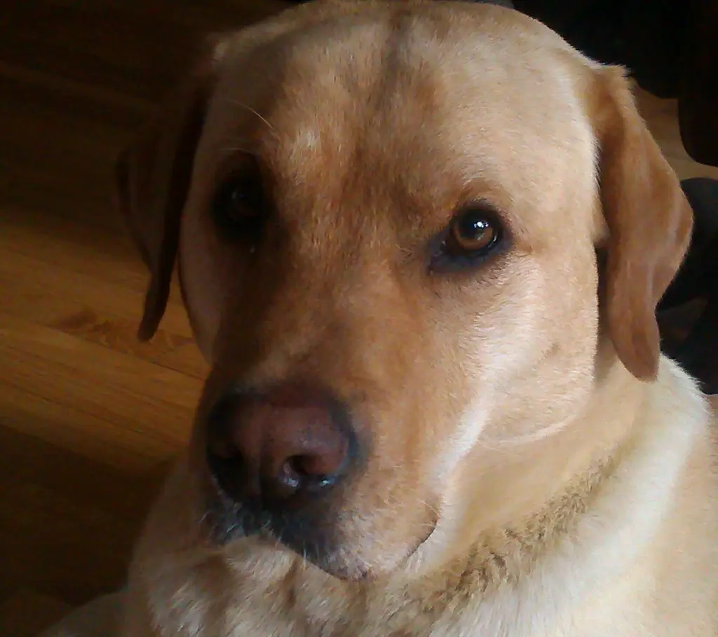 Condolence image of Stephie