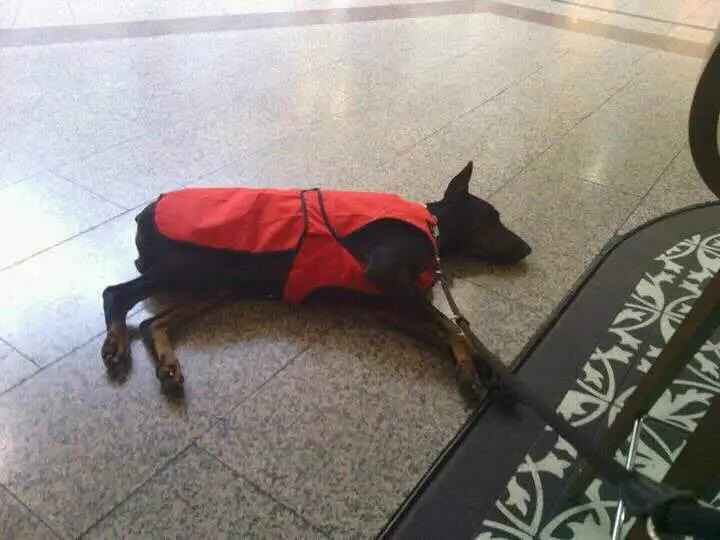 Image from Ice