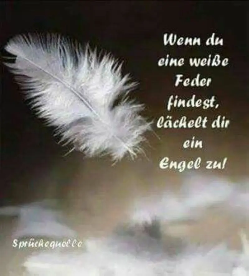 Condolence image of Andrea mit Minki im ❤ gest.19.10.2020