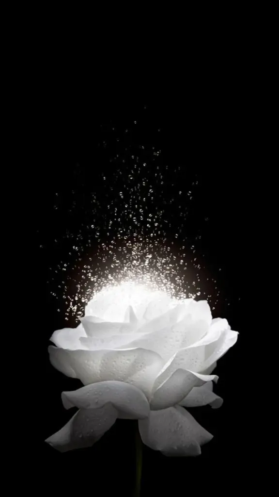 Condolence image of Unbekannt