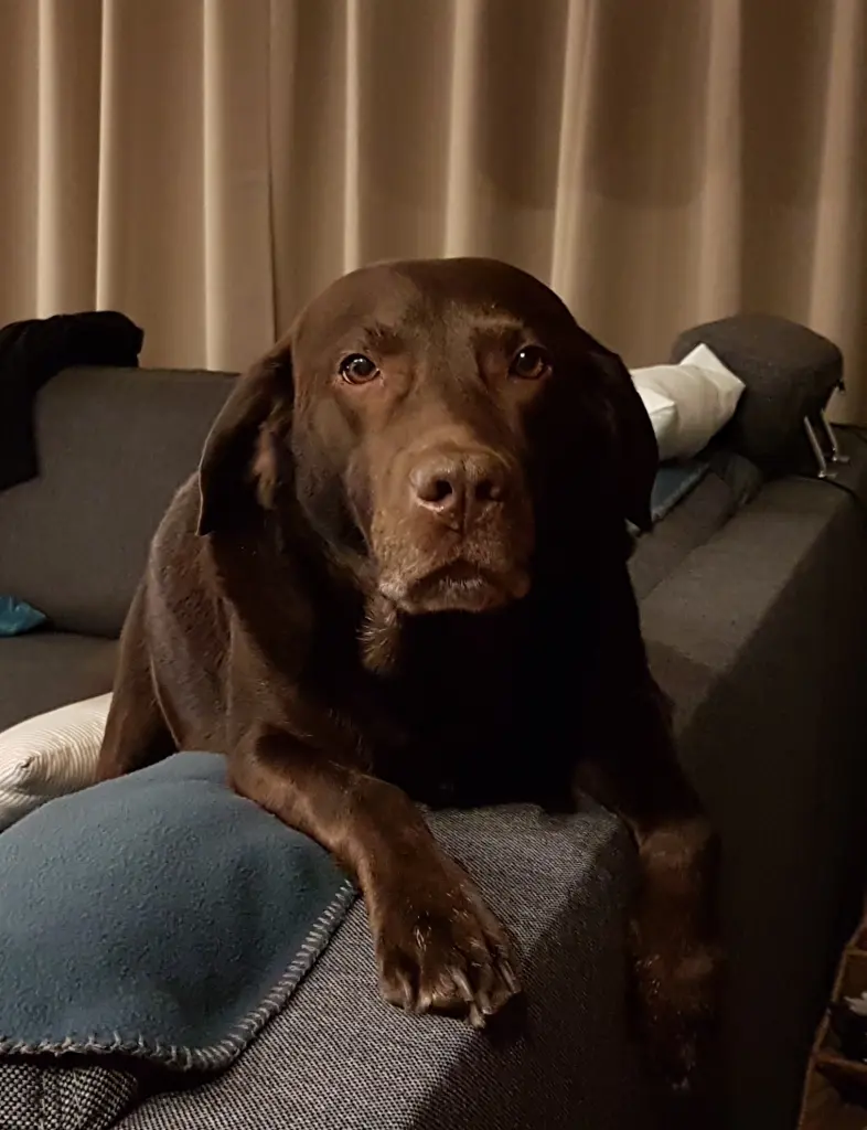 Andachtsbild von Silvana