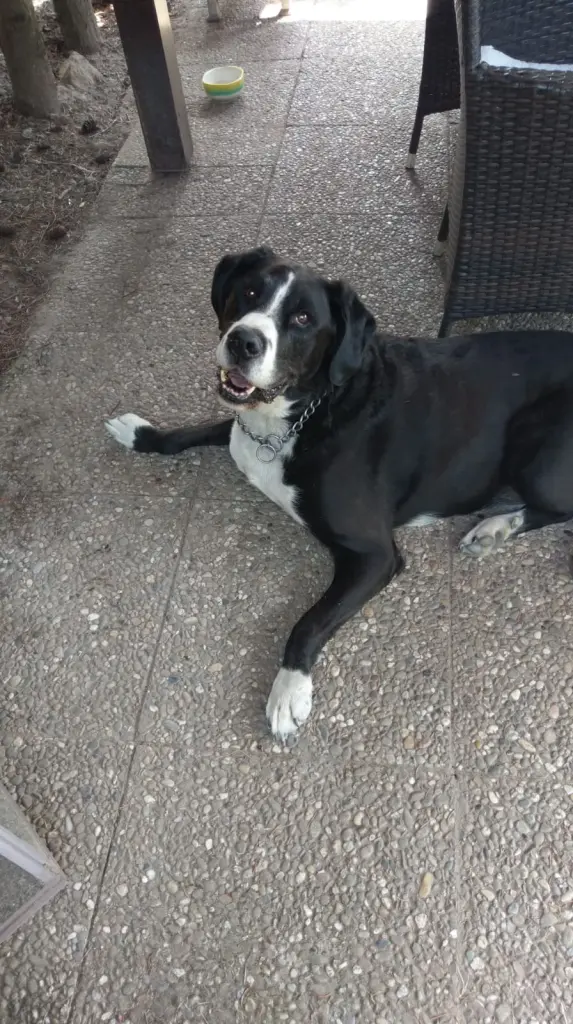 Andachtsbild von Angelika