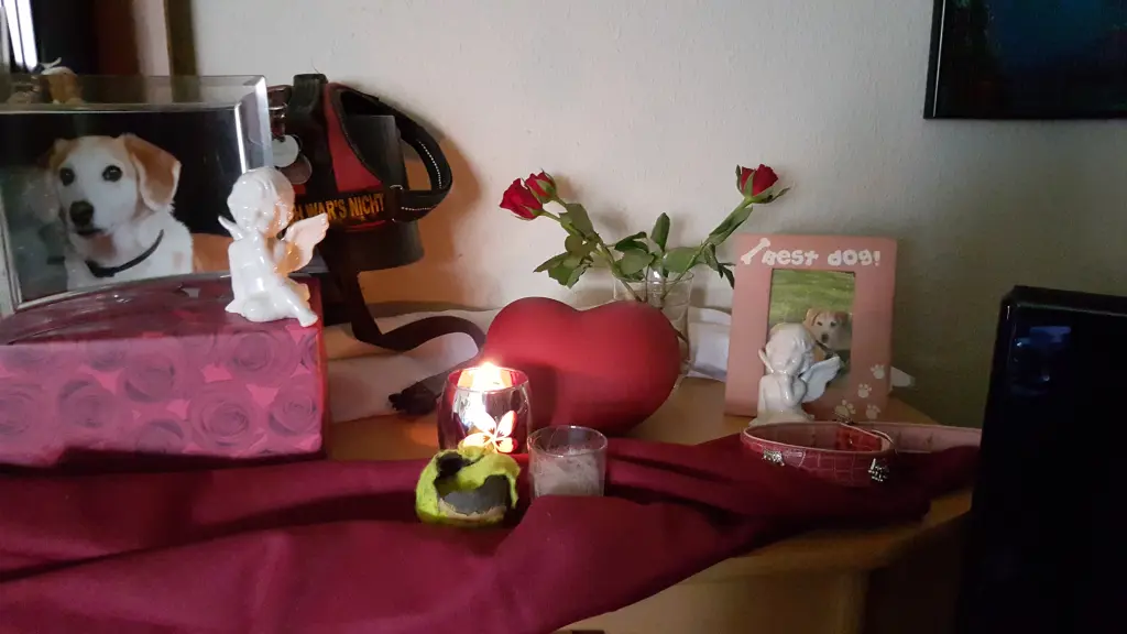 Image from Senia