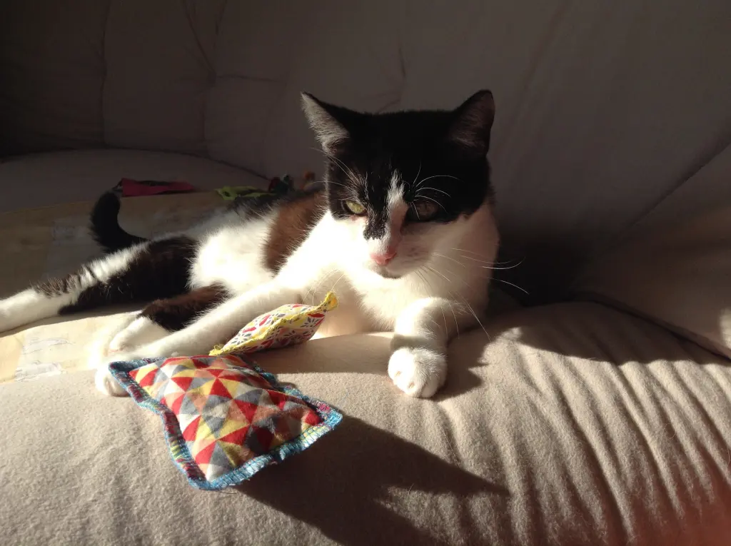 Andachtsbild von Karin & Andreas