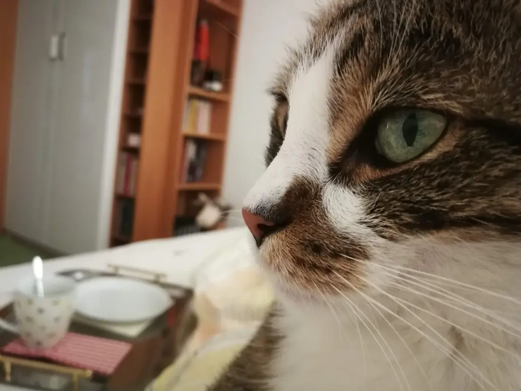 Andachtsbild von Sinah & Micha