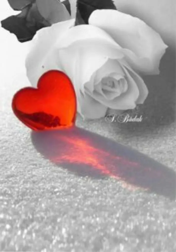 Condolence image of Unbekannt