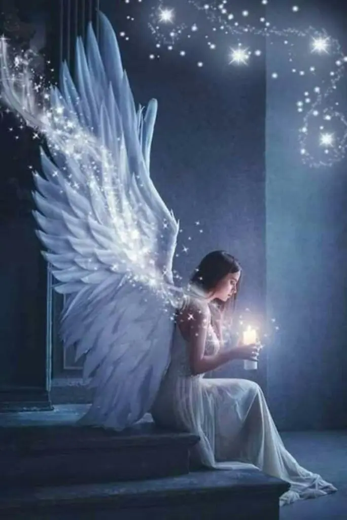 Condolence image of Petra