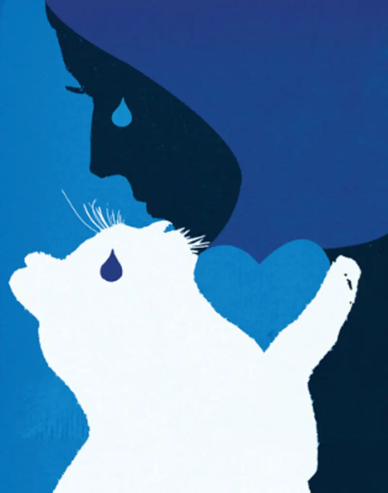 Condolence image of Katrin und Katzi im ❤️