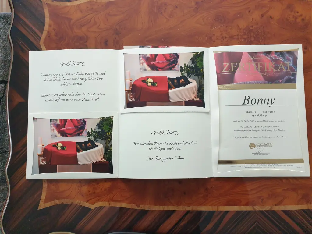Image from Bonny
