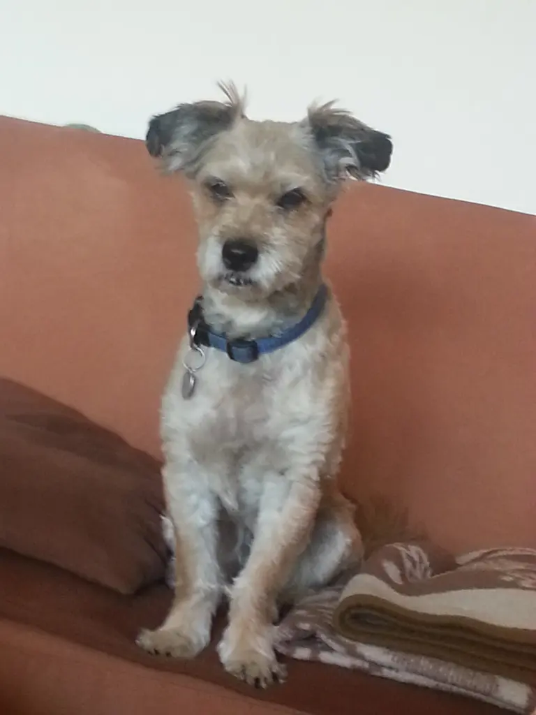 Image from Teddy