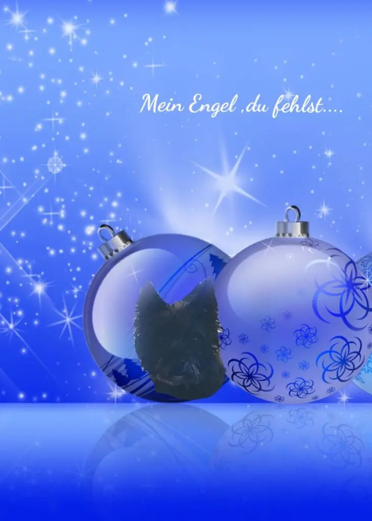 Condolence image of Chantal