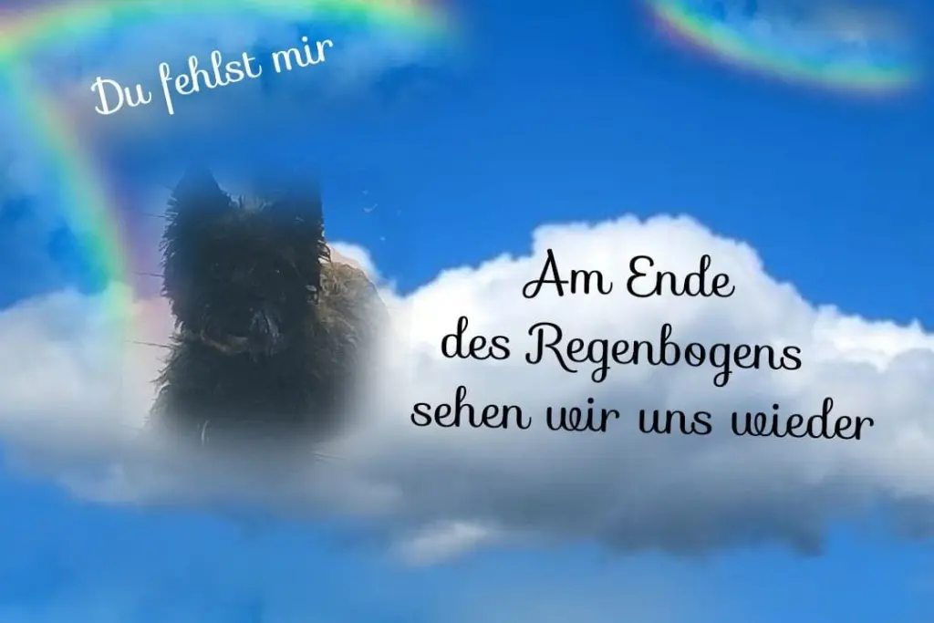 Condolence image of Chantal mit Kessy im ❤️