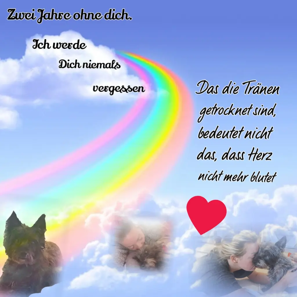 Condolence image of Chani mit Kessy im Herzen