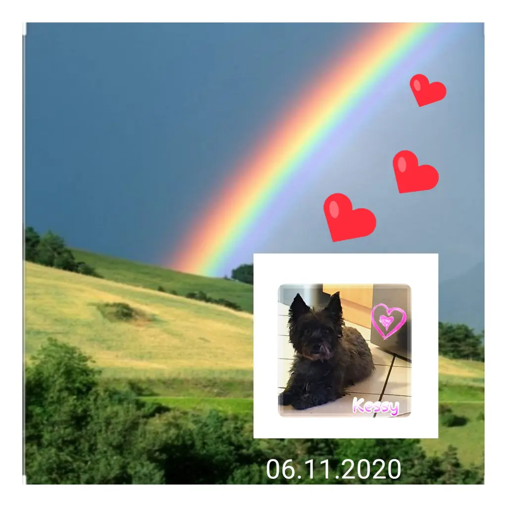 Image from Kessy