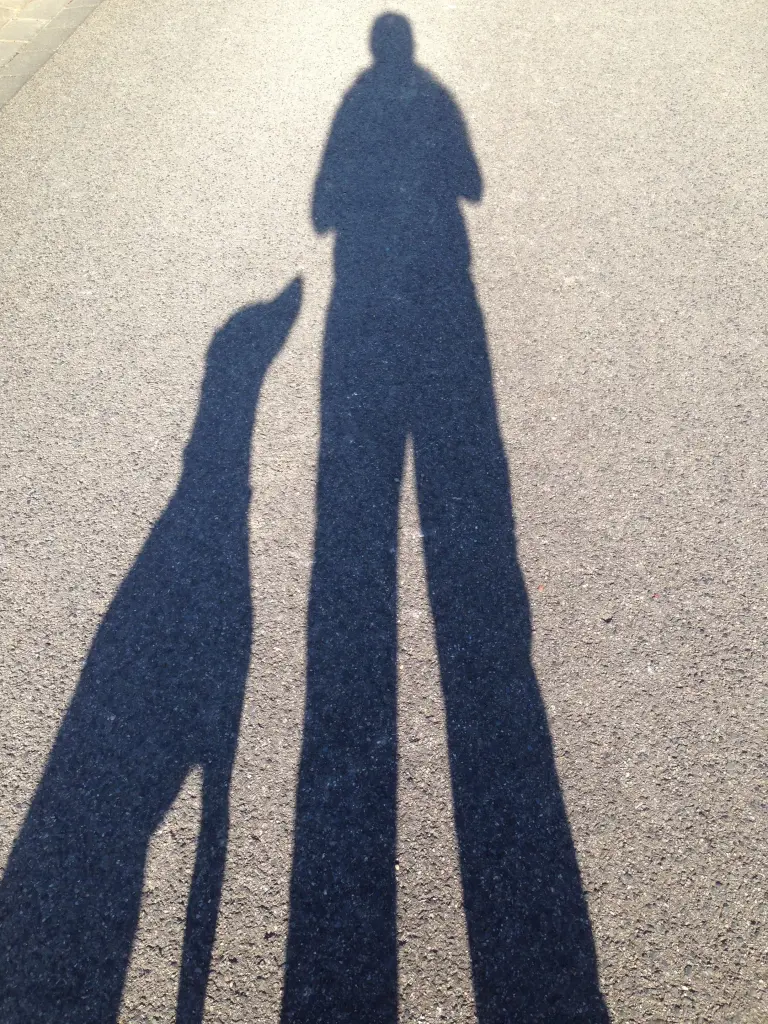 Image from Leni