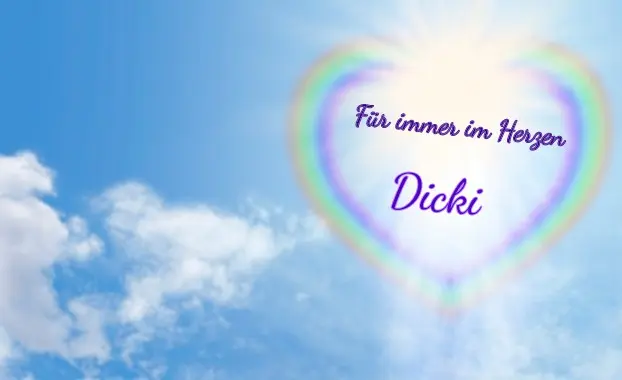 Condolence image of Chantal und Kessy im ❤️ Herzen 