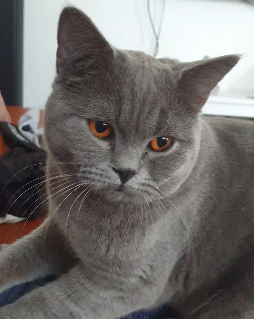 Condolence image of Martin