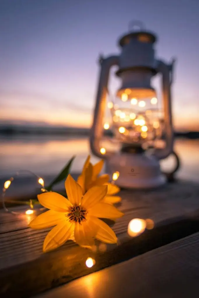 Condolence image of Unbekannt