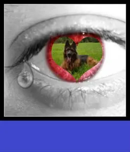 Condolence image of ❤️❤️❤️