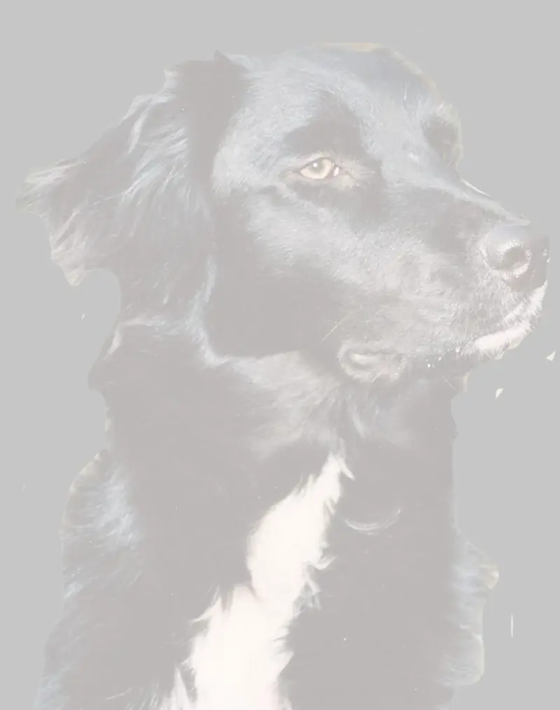 Condolence image of Tina und Amy