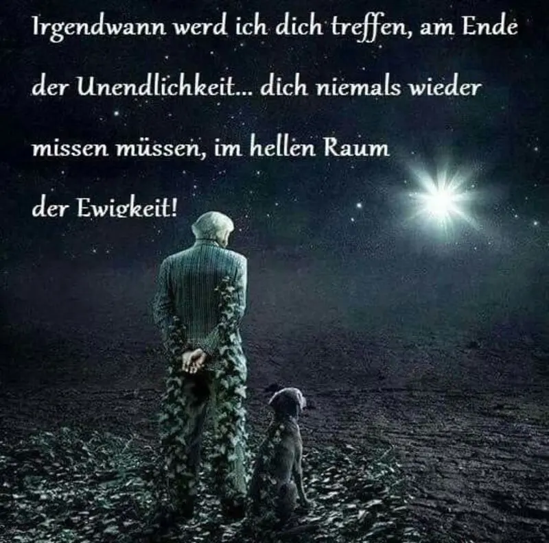 Condolence image of Katrin und Katzi im ❤️