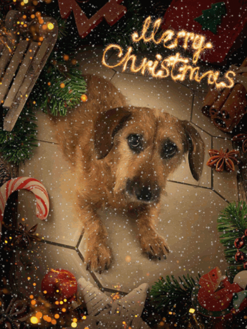 Condolence image of Sabine