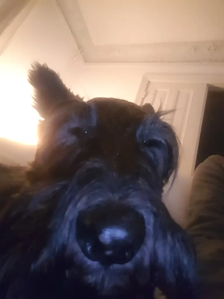 Image from Becks
