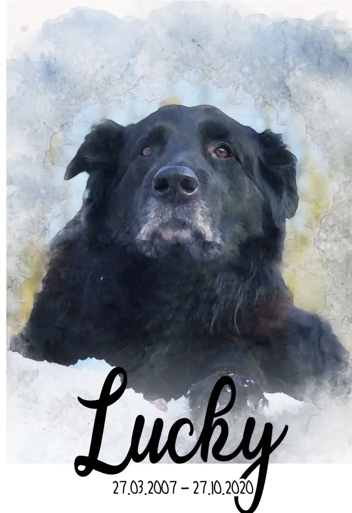 Bild von Lucky