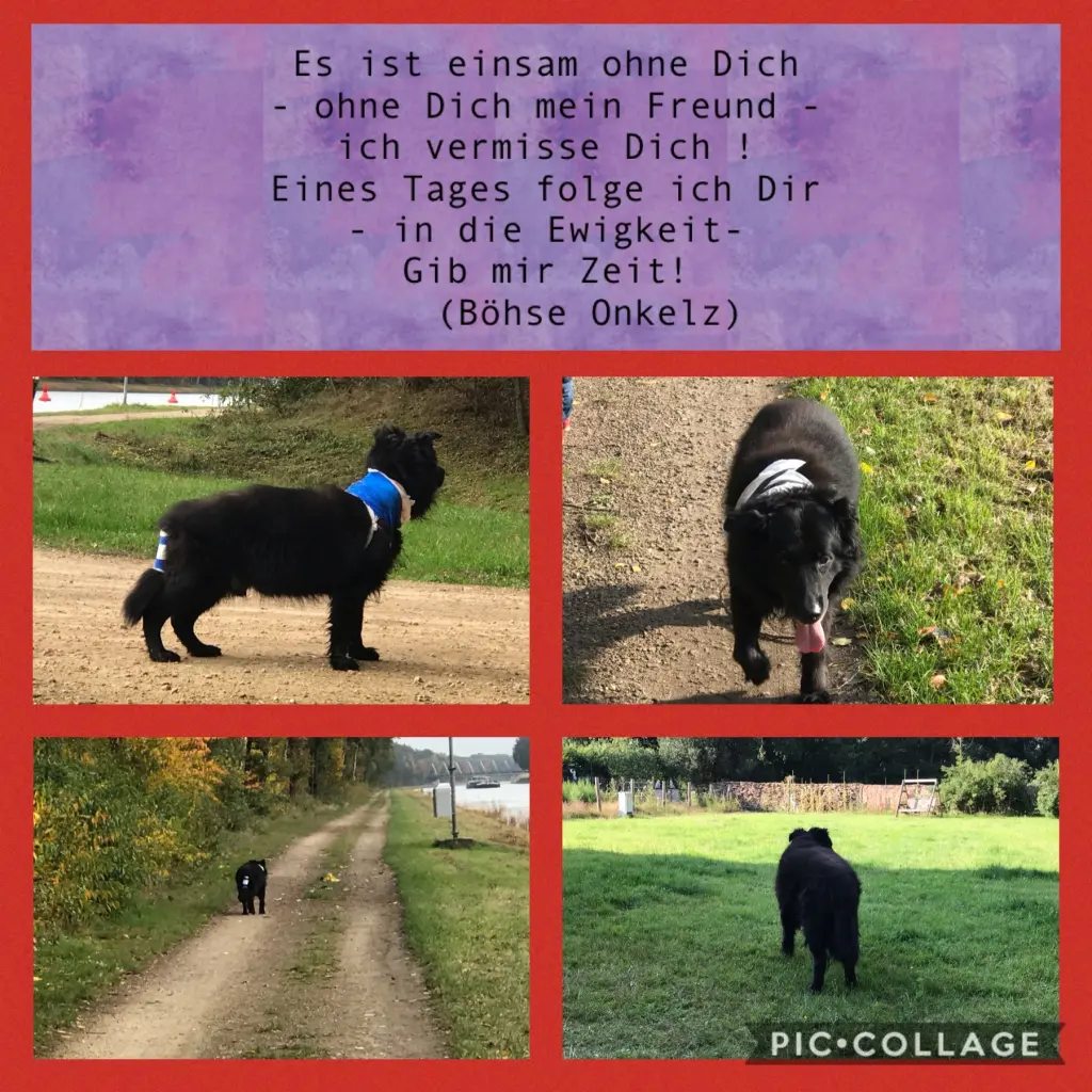 Bild von Lucky