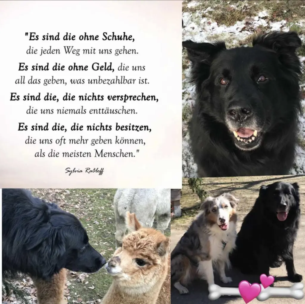 Bild von Lucky