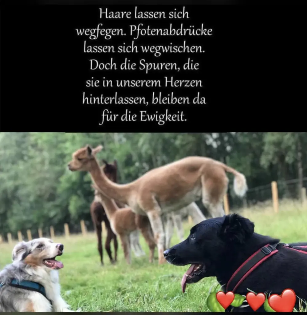 Bild von Lucky