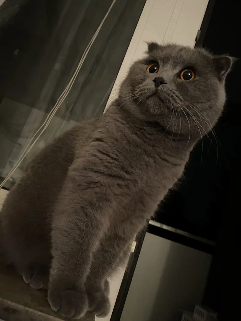 Image from Pamuk